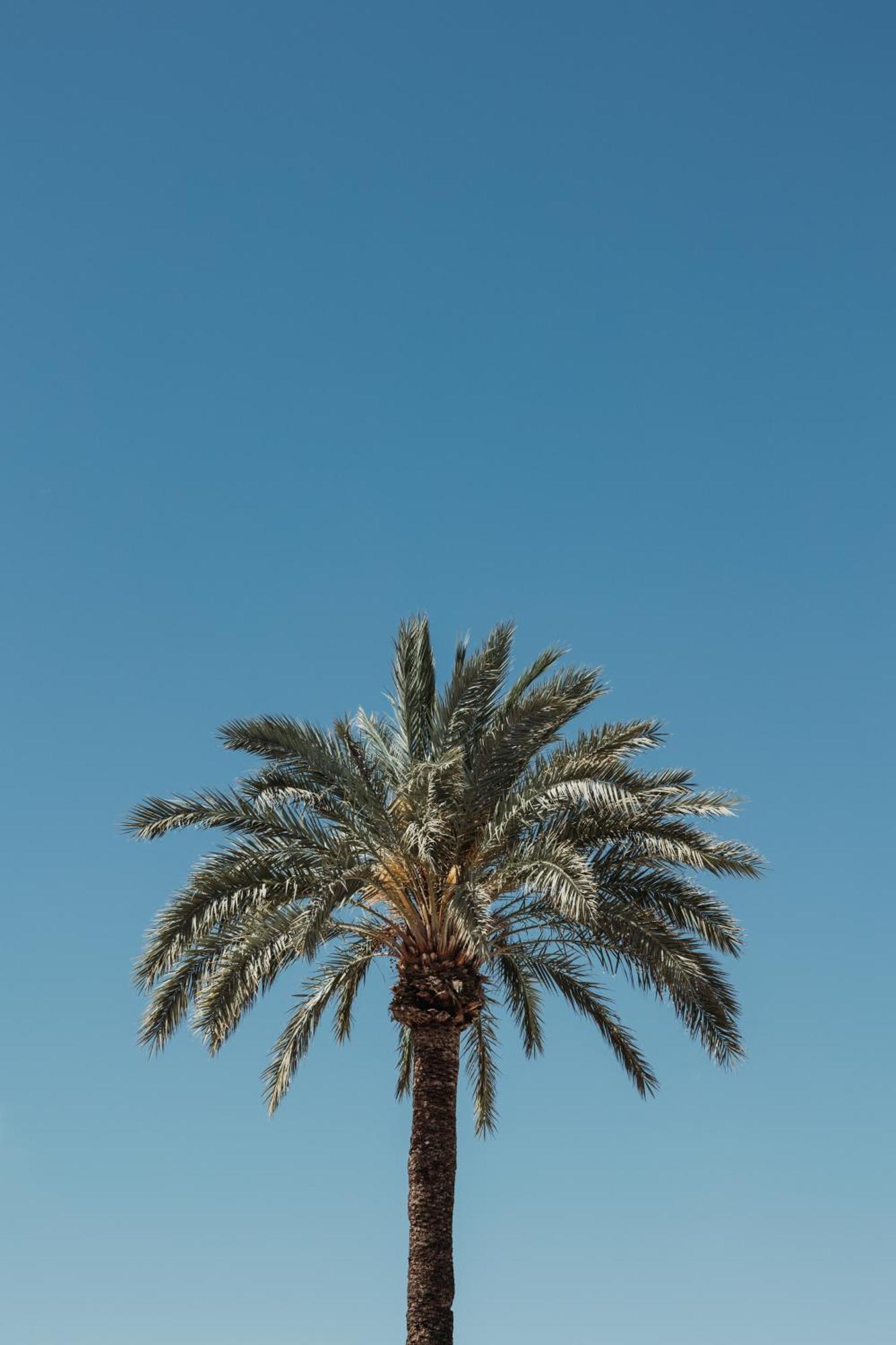 Bungalows Del Arenal Javea Exterior photo